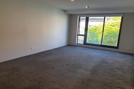 Photo of property in Vsp South, 207/168 Victoria Street, Te Aro, Wellington, 6011