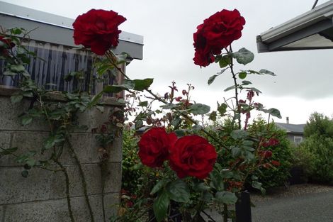 Photo of property in 3/25 Elgin Street, Grasmere, Invercargill, 9810