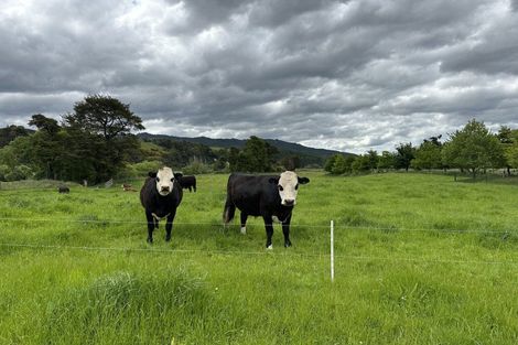 Photo of property in 454 Korere Tophouse Road, Motupiko, Saint Arnaud, 7072