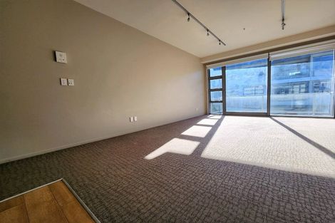Photo of property in Revolucion Apartments, 206/28s Torrens Terrace, Mount Cook, Wellington, 6011