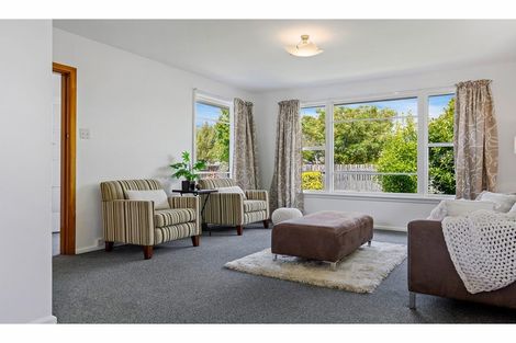 Photo of property in 80 Mahars Road, Mairehau, Christchurch, 8052