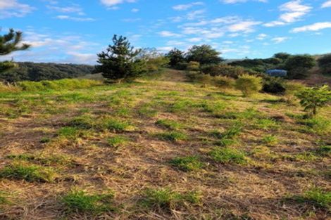 Photo of property in 121a Princes Street, Waikino, Waihi, 3682