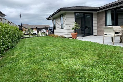 Photo of property in 42 Yanicks Crescent, Fitzroy, Hamilton, 3206