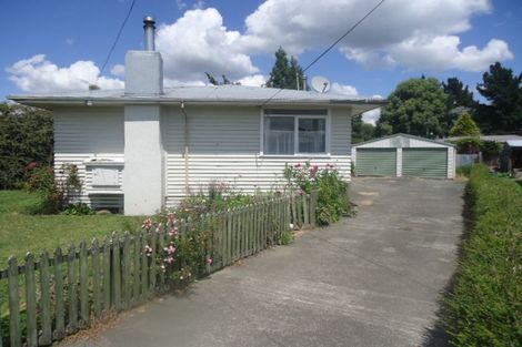 Photo of property in 17 Tee Street, Putaruru, 3411