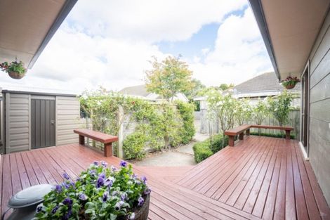 Photo of property in 41a Manawatu Street, Hokowhitu, Palmerston North, 4410
