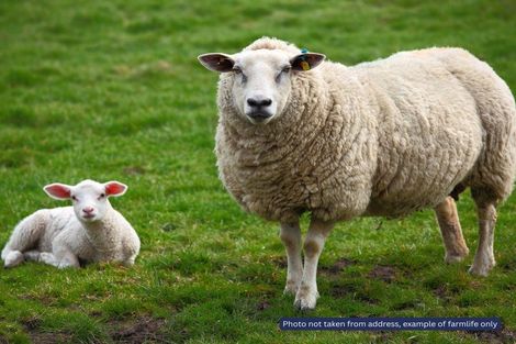 Photo of property in 157 Newman Road, Stillwater, Silverdale, 0993