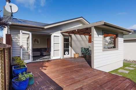 Photo of property in 45 College Street, Awapuni, Palmerston North, 4412