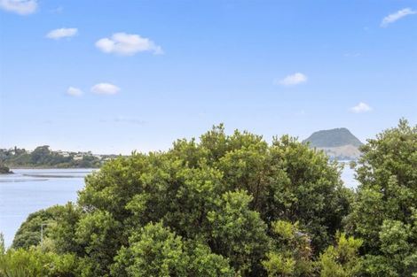 Photo of property in 6/29 Accadia Lane, Tauranga, 3110