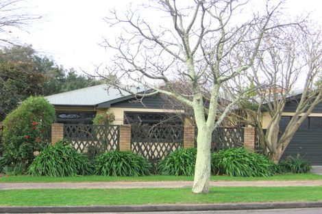 Photo of property in 19 Phoenix Avenue, Hokowhitu, Palmerston North, 4410