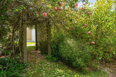 Photo of property in 30 Stout Street, Masterton, 5810