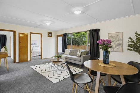 Photo of property in 9b Richmond Street, Forbury, Dunedin, 9012