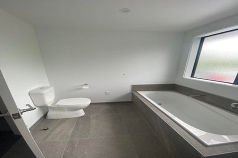 Photo of property in 81b Victoria Street, Pukekohe, 2120