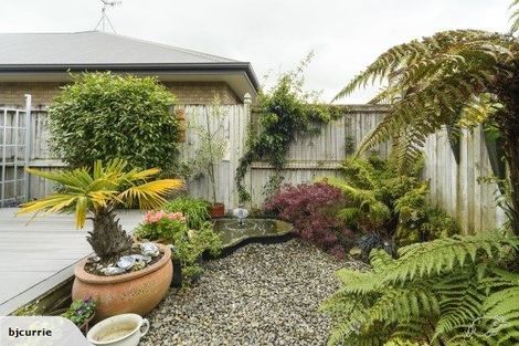 Photo of property in 45 Fitchett Street, Palmerston North, 4410