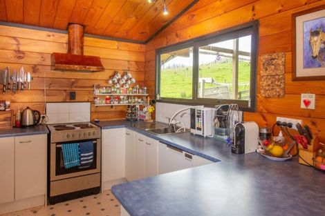 Photo of property in 487a Pukehuia Road, Tangiteroria, 0381