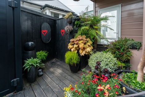 Photo of property in 24b Roy Street, Newtown, Wellington, 6021