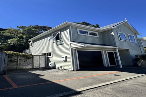 Photo of property in 37a Mana Street, Vogeltown, Wellington, 6021