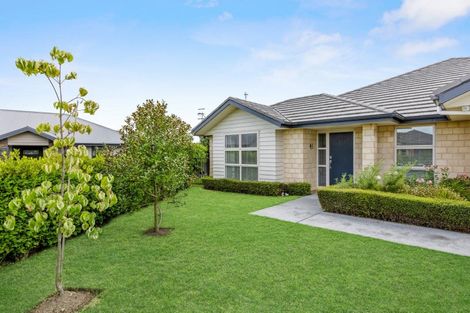 Photo of property in 4 Devine Close, Havelock North, 4130