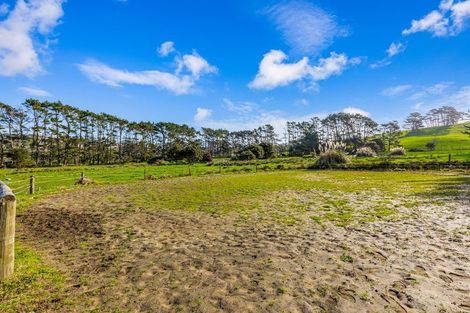 Photo of property in 276 Taiapa Road, Muriwai, 0881