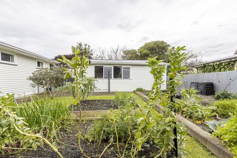 Photo of property in 75 Kettle Avenue, Awapuni, Palmerston North, 4412