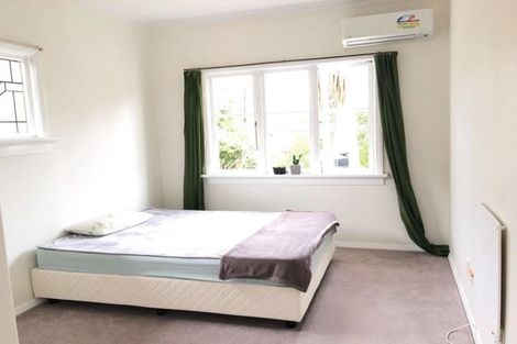 Photo of property in 45 Pacific Street, Roslyn, Dunedin, 9010