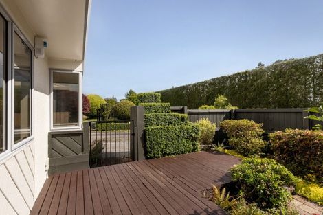 Photo of property in 9a Marshall Avenue, Greerton, Tauranga, 3112