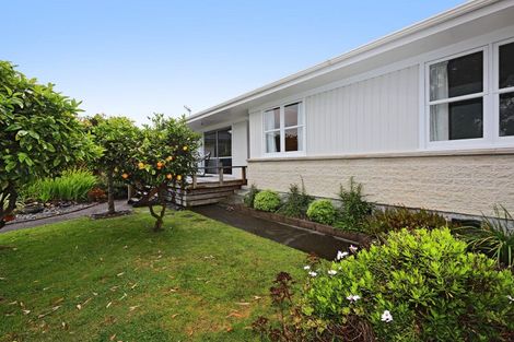 Photo of property in 32 Plunket Street, Tamatea, Napier, 4112