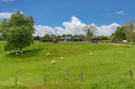 Photo of property in 1303 Oropi Road, Oropi, Tauranga, 3173