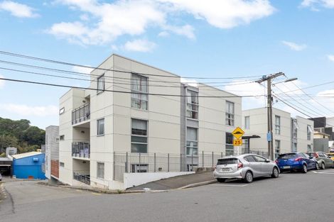 Photo of property in Hanson House, 1a/27 Hanson Street, Mount Cook, Wellington, 6021
