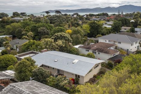 Photo of property in 91 Alexander Road, Raumati Beach, Paraparaumu, 5032