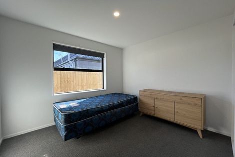 Photo of property in 13 Sarah Nicholls Street, Belfast, Christchurch, 8051
