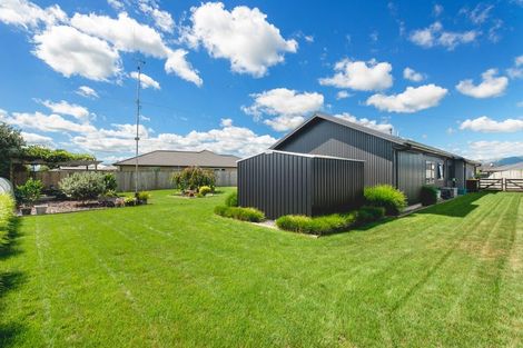 Photo of property in 7 Amber Grove, Matamata, 3400