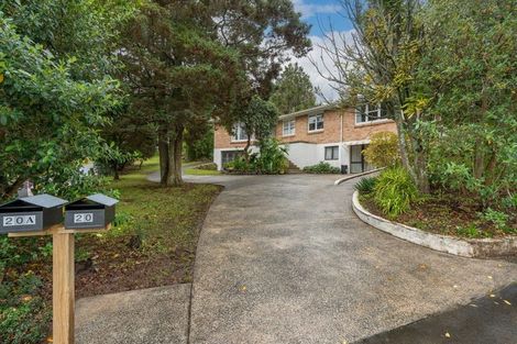 Photo of property in 20 Helena Road, Hillcrest, Hamilton, 3216