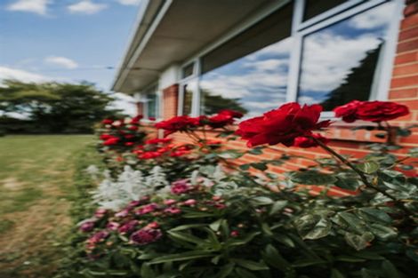 Photo of property in 17 Constitution Avenue, Milton, 9220