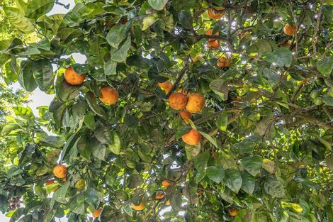 Photo of property in 40 Harris Street, Huntly, 3700