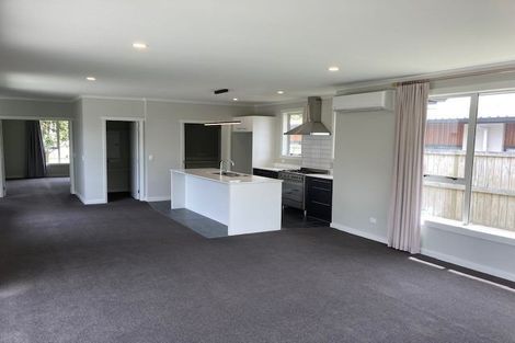Photo of property in 5 Audrey Place, Flagstaff, Hamilton, 3210