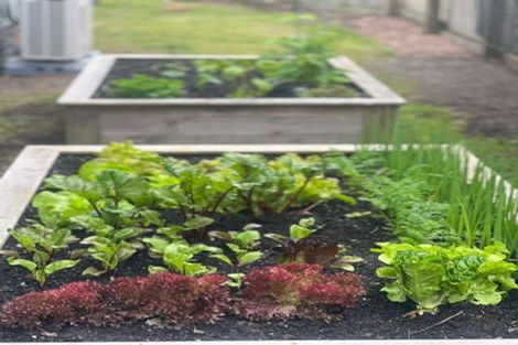 Photo of property in 22 Pollen Street, Kawerau, 3127