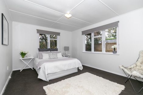 Photo of property in 199 Peachgrove Road, Claudelands, Hamilton, 3214