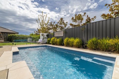Photo of property in 19 Grooby Place, Havelock North, 4130