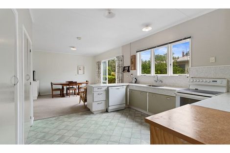 Photo of property in 15 Carlyle Street, Te Aroha, 3320