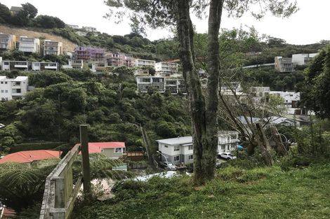 Photo of property in 307 Ohiro Road, Brooklyn, Wellington, 6021