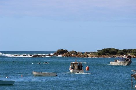 Photo of property in 30 Brighton Street, Island Bay, Wellington, 6023