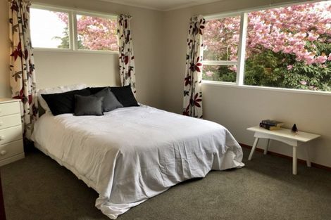 Photo of property in 131 Roxburgh Street, Heriot, Tapanui, 9587