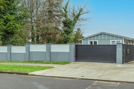 Photo of property in 81 Macarthur Street, Levin, 5510