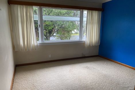 Photo of property in 803 Rimu Street, Mahora, Hastings, 4120