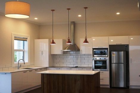 Photo of property in 1/8 Merlin Street, Roslyn, Dunedin, 9010