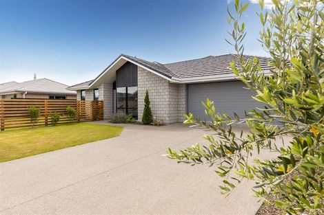 Photo of property in 8 Mustang Alley, Burleigh, Blenheim, 7201