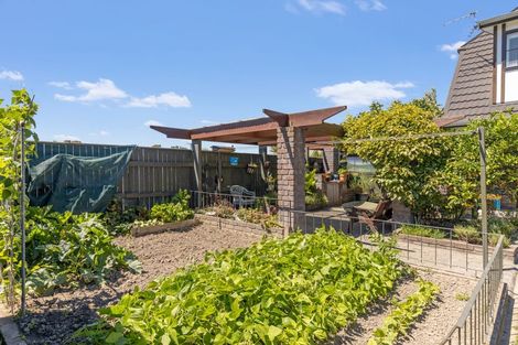 Photo of property in 155 Muller Road, Blenheim, 7201