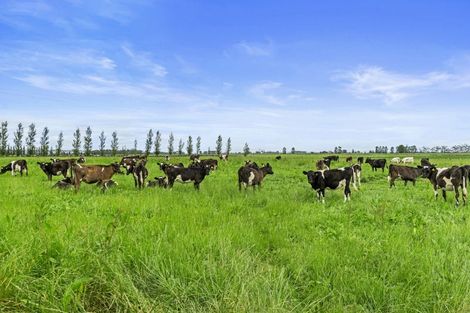 Photo of property in 1887b State Highway 26, Motumaoho, Morrinsville, 3372