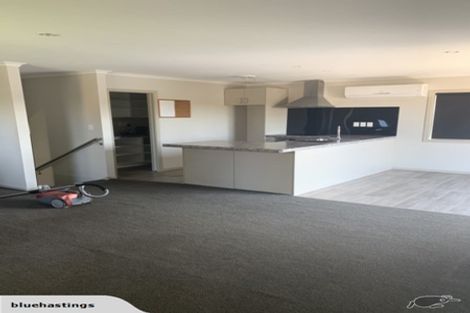 Photo of property in 27 Thomson Avenue, Dinsdale, Hamilton, 3204