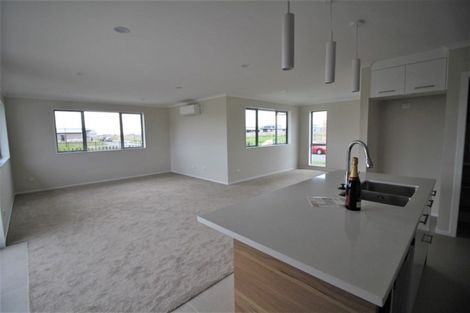 Photo of property in 25 Maggie Place, Chartwell, Hamilton, 3210